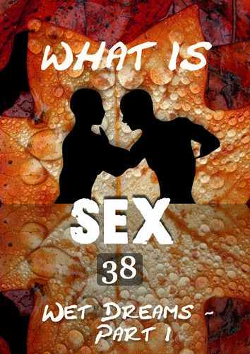 Full what is sex wet dreams part 1 part 38