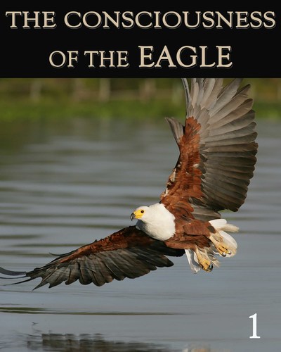 Full the consciousness of the eagle part 1