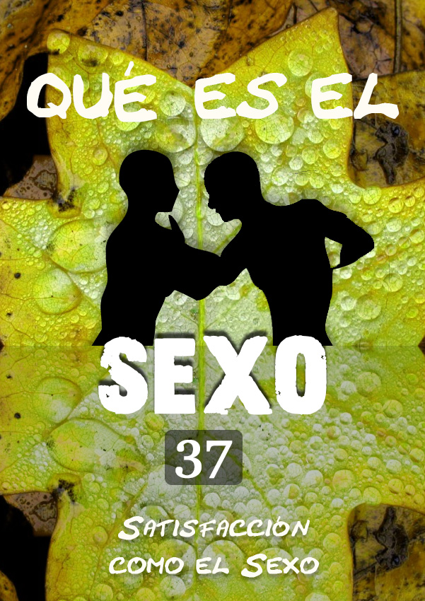 Qué es el Sexo - Satisfacción como el Sexo - Parte 37 « EQAFE