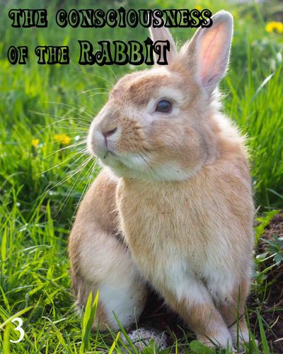 Full the consciousness of the rabbit part 3