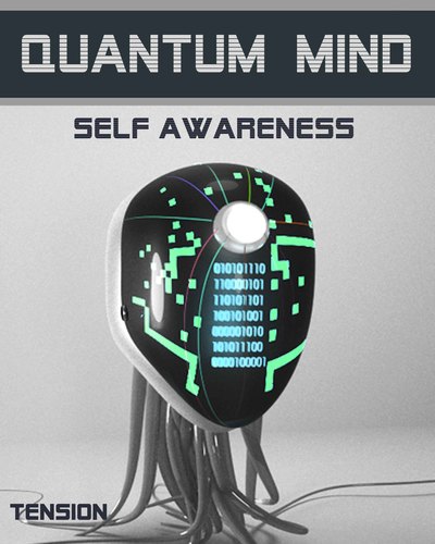 Full tension quantum mind self awareness