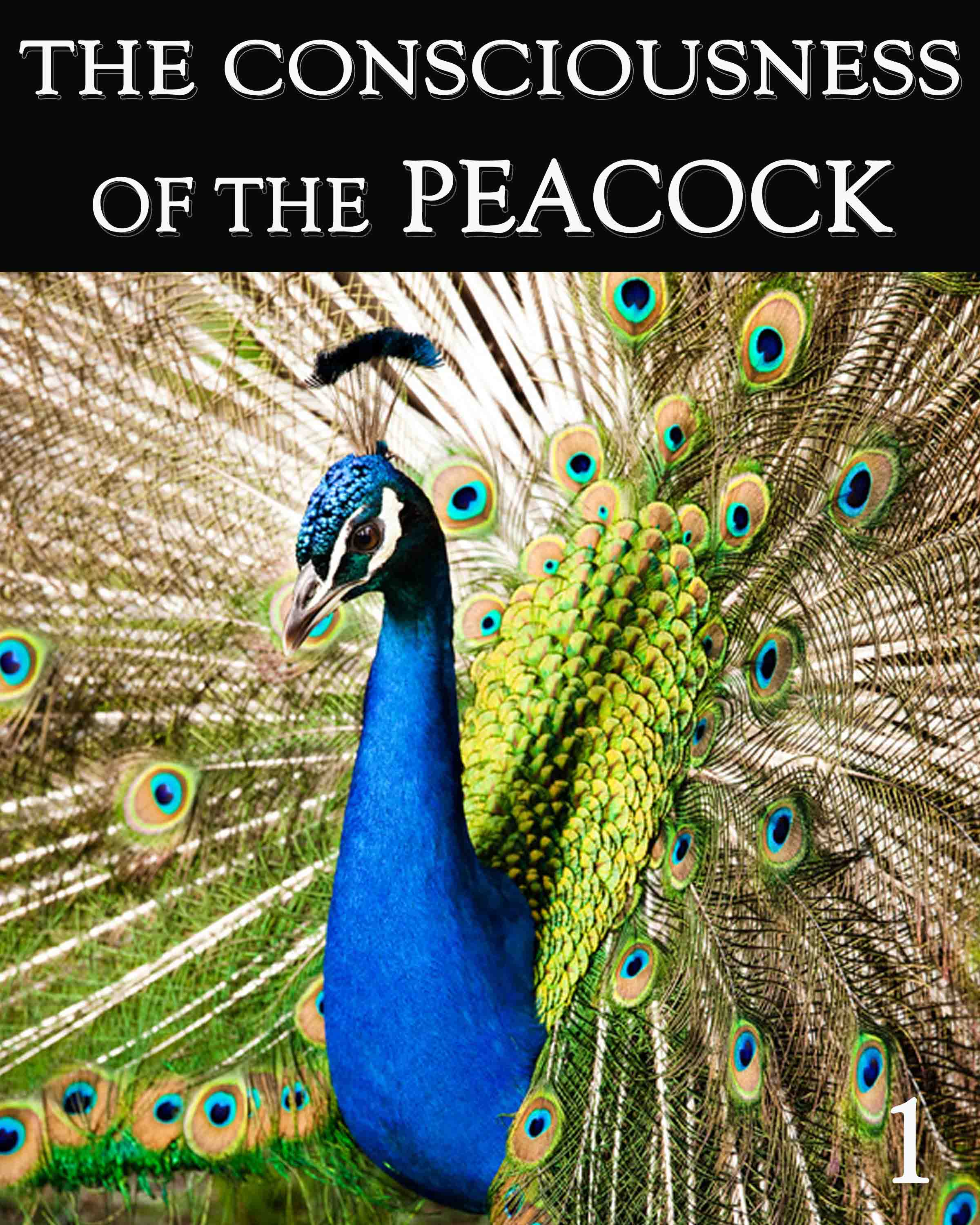 the-consciousness-of-the-peacock-part-1-eqafe