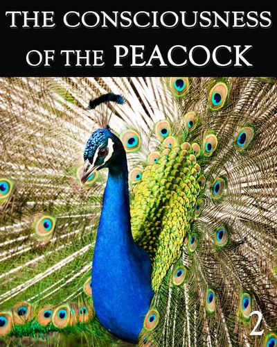 Full the consciousness of the peacock part 2