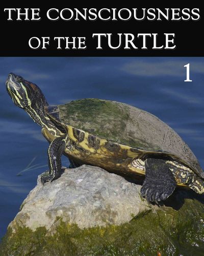 Full the consciousness of the turtle part 1
