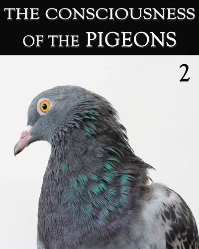 Full the consciousness of the pigeon part 2