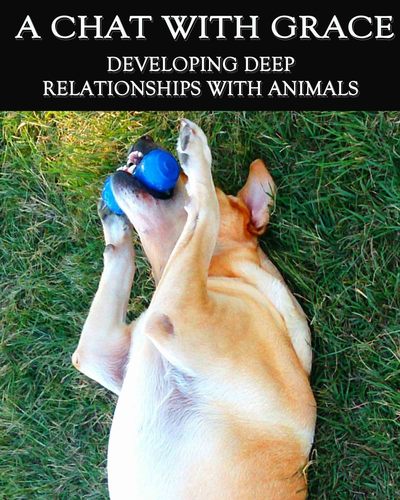 Full developing deep relationships with animals a chat with grace