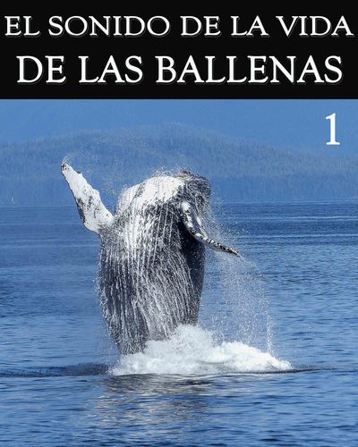 Full el sonido de la vida de las ballenas parte 1