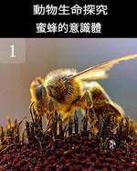 Feature thumb the consciousness of the bees part 1 ch