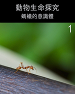 Feature thumb the consciousness of the ant part 1 ch