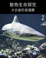 Feature thumb the consciousness of the great white shark part 2 ch