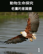 Feature thumb the consciousness of the eagle part 1 ch