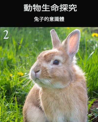Full the consciousness of the rabbit part 2 ch