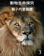 Feature thumb the consciousness of the lion part 3 ch