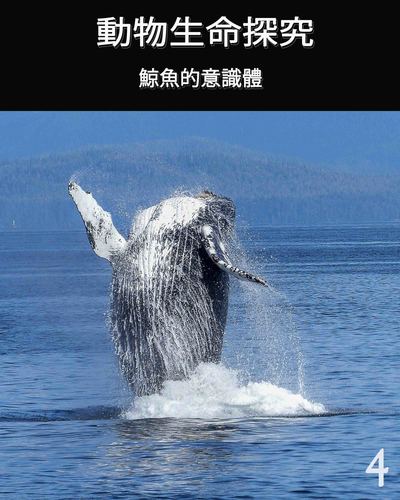 Full animal s life review consciousness of the whale 4 ch