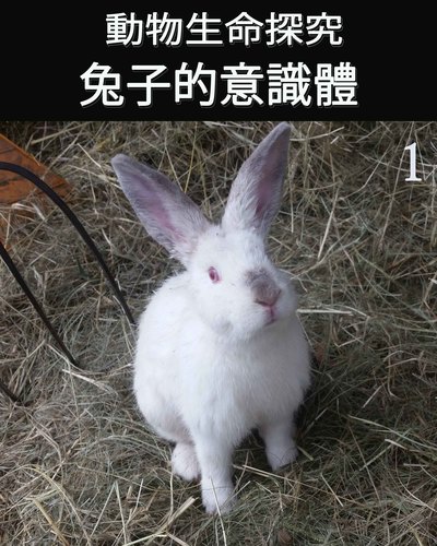 Full animal s life review consciousness of the bunnies 1 ch