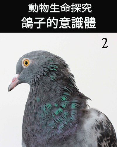 Full animal s life review consciousness of the pigeon 2 ch