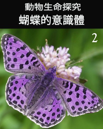 Full animal life review consciousness of the butterfly 2 ch