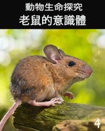 Feature thumb animal life review consciousness of the mouse 4 ch